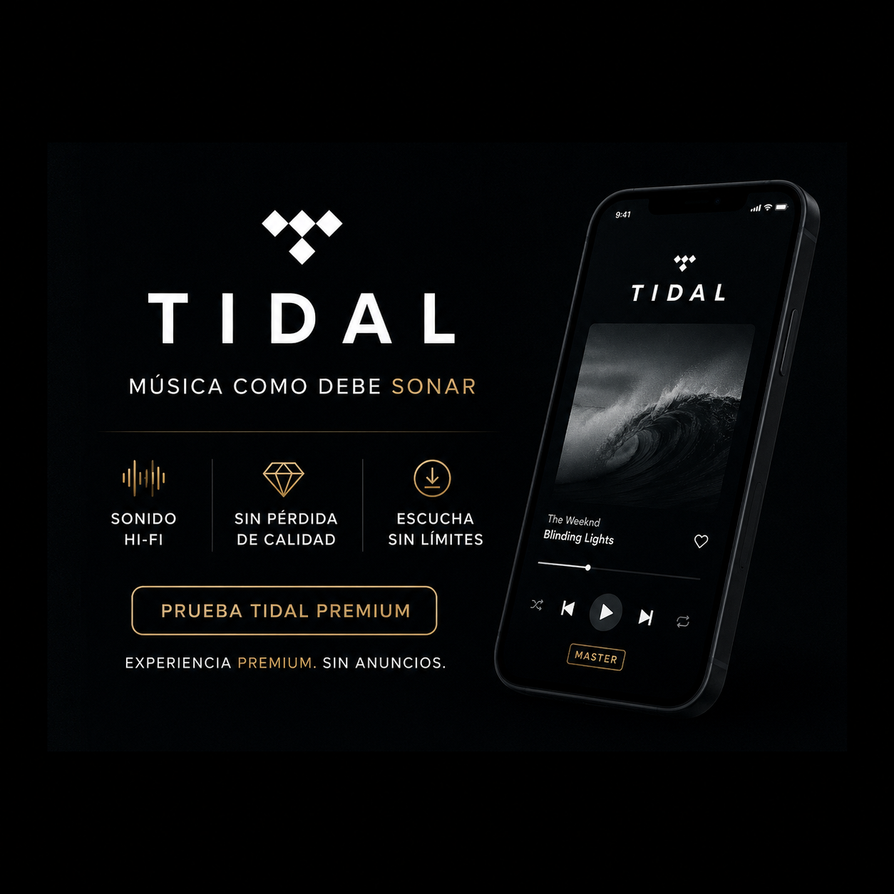 TIDAL INDIVIDUAL